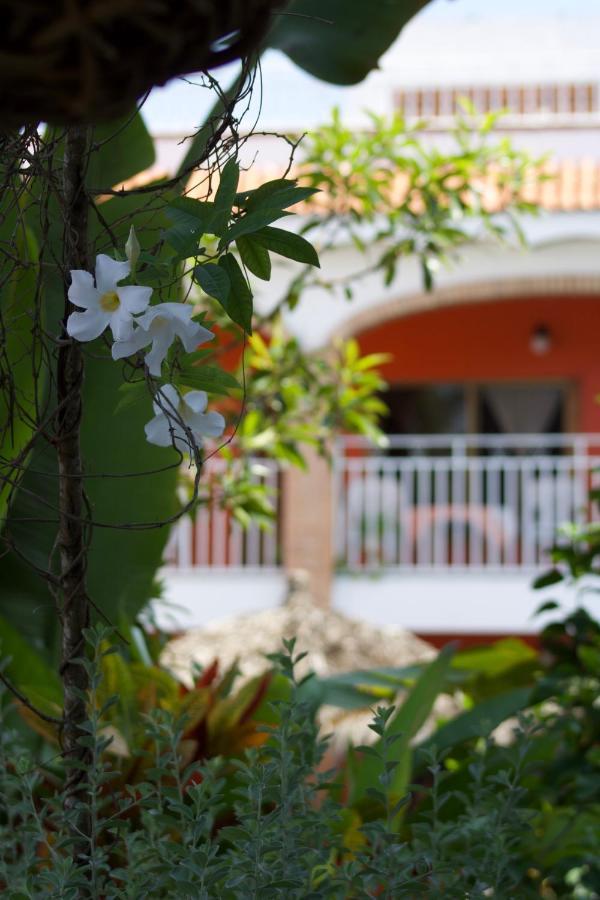 Bungalows Las Tortugas Lo de Marcos Buitenkant foto